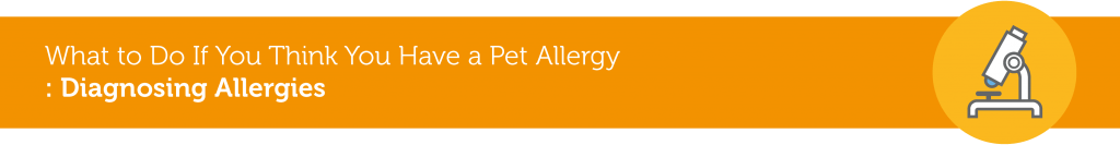 pet-allergies-03