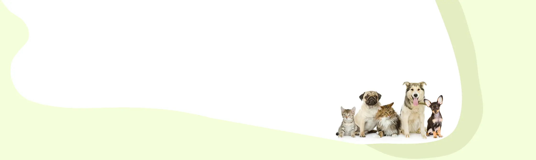 light green and white background with pets on