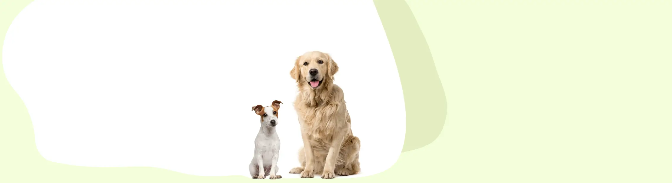 light green and white background with dogs in corner