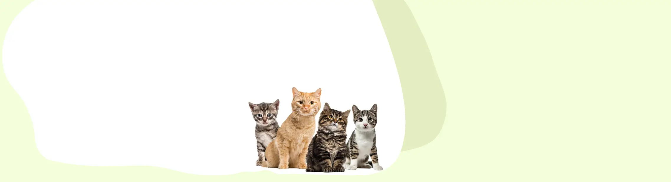 light green and white background with cats in corner